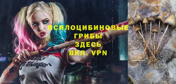 скорость Покачи