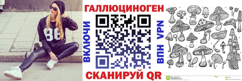 МЕГА как зайти  Курлово  Галлюциногенные грибы Magic Shrooms 